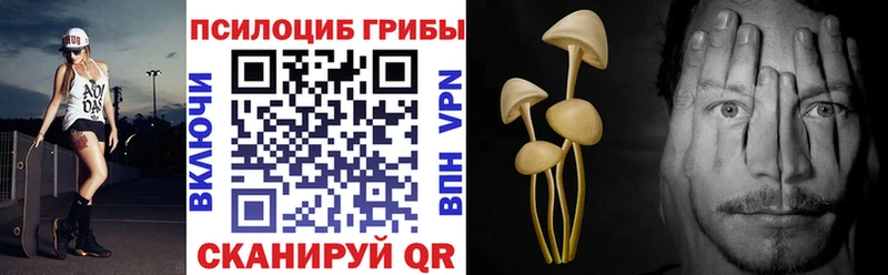Галлюциногенные грибы Psilocybe  Купить где  Кореновск 